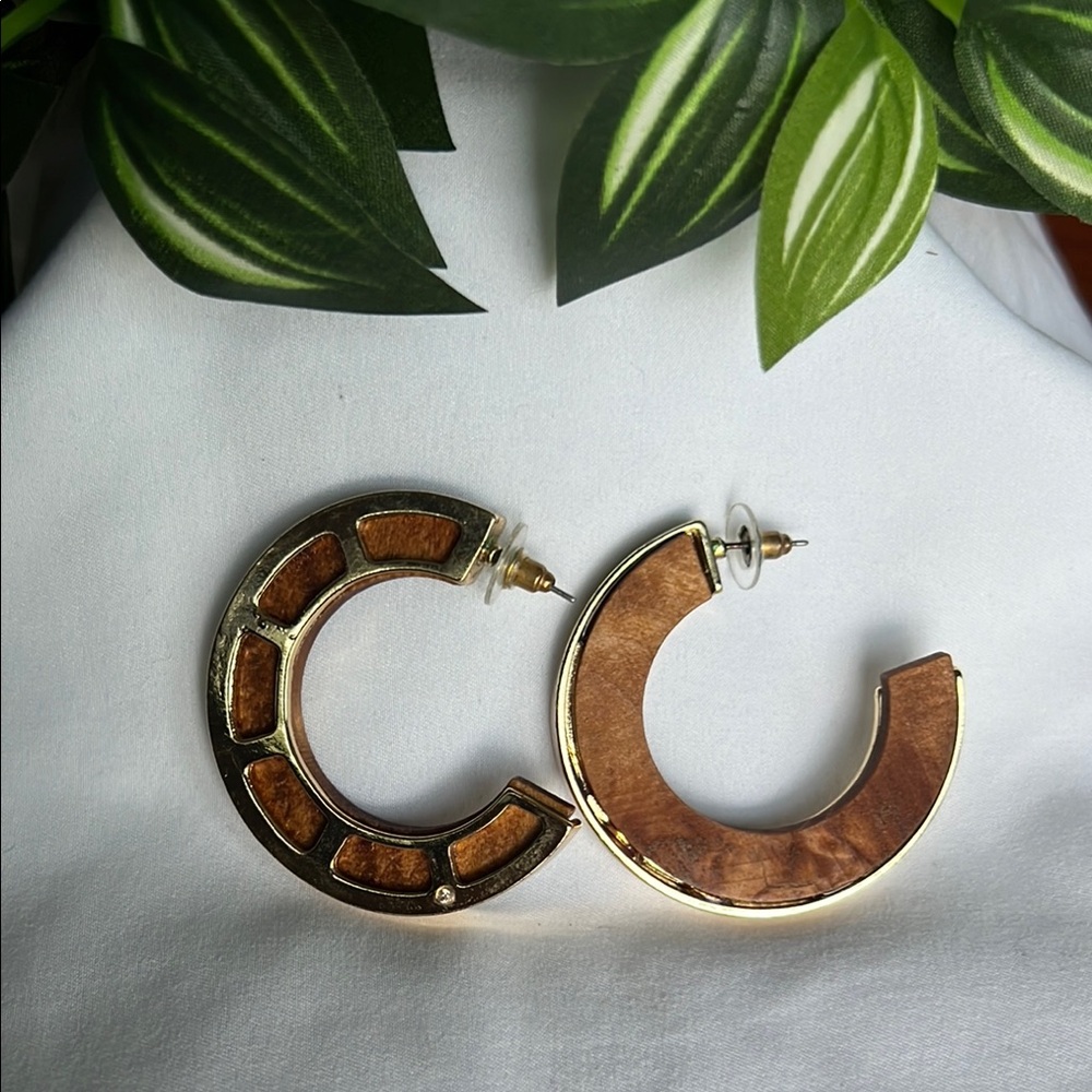 Stylish Gold and Brown Hoop Earrings